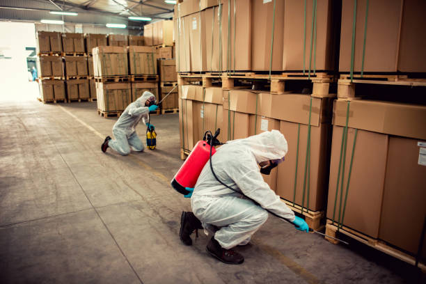 Best Affordable Pest Control Services  in Arma, KS