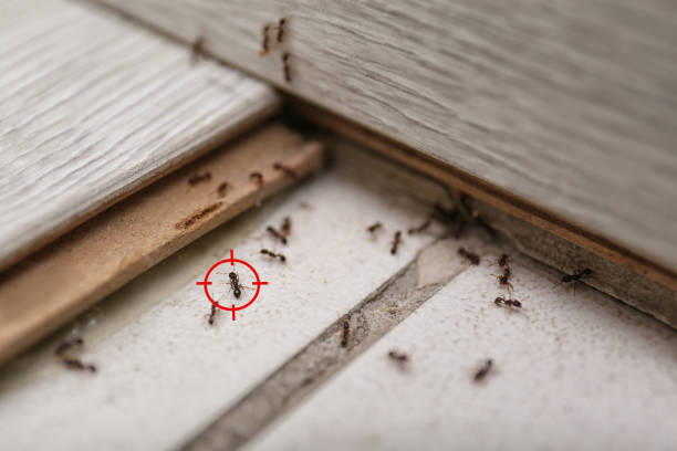 Best Wildlife Control Services  in Arma, KS