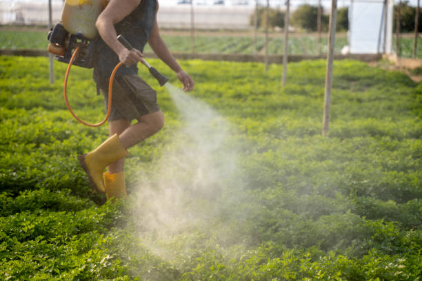 Professional Pest Control in Arma, KS