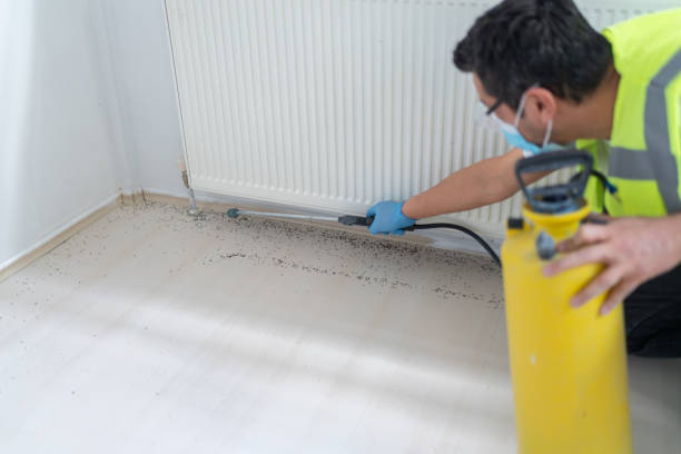 Best Affordable Pest Control Services  in Arma, KS